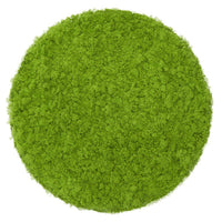 Premium Matcha Ura (麗)