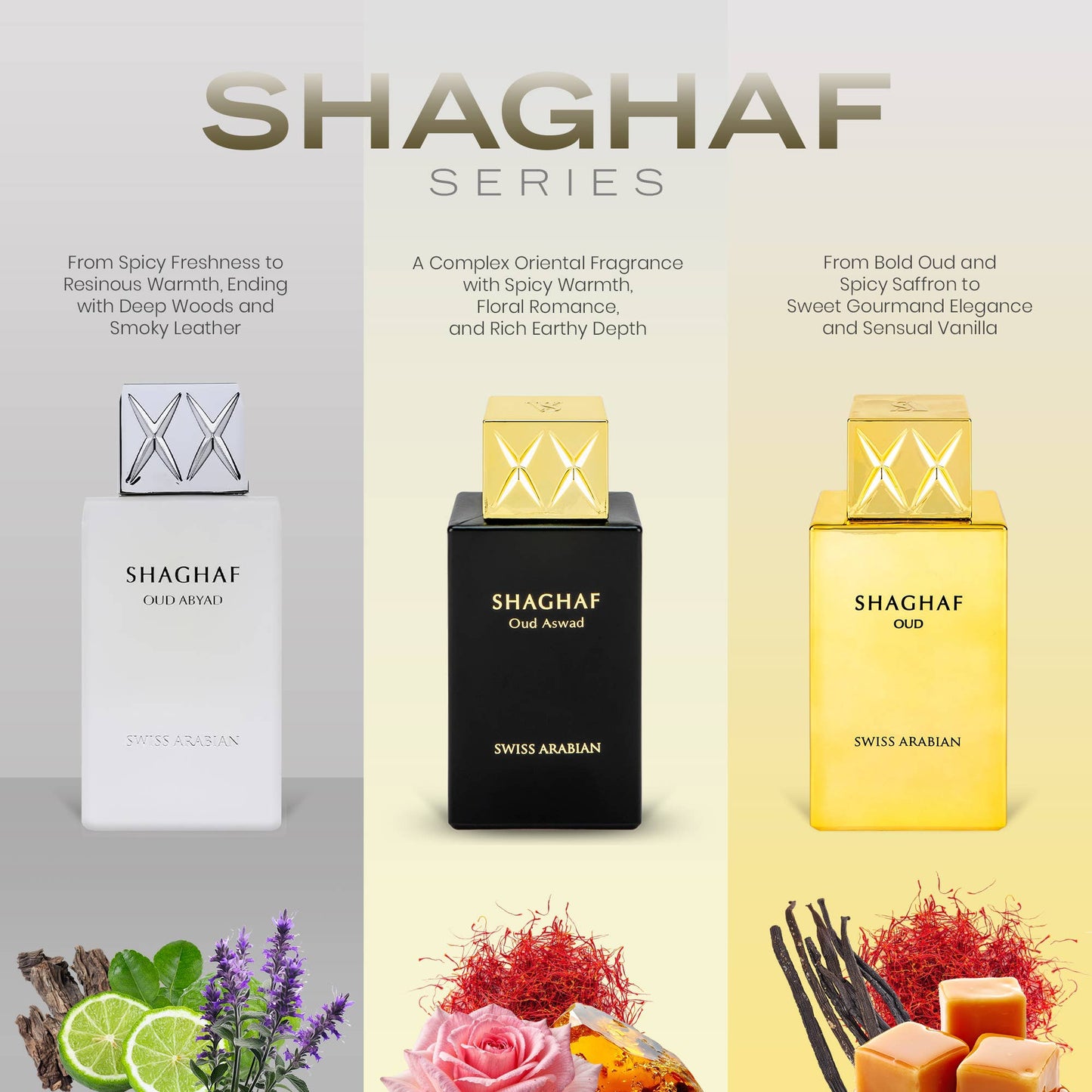 Shaghaf Oud Abyad by Swiss Arabian – Spicy Incense, Oud & Leather Unisex Perfume 100ml