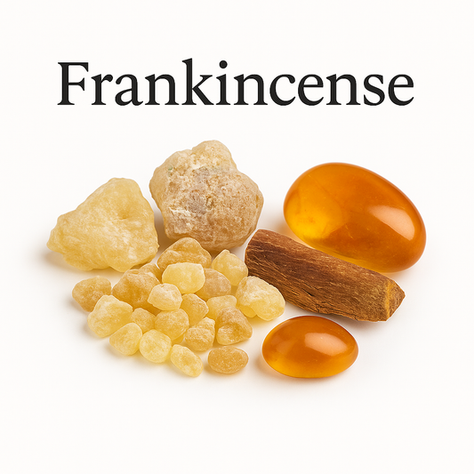 Elegant flat-lay of Sudanese frankincense resin and amber pieces on a white background, representing the warm, resinous aroma of Frankincense perfume oil by HA Fragrances