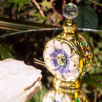 Layali perfume bottle by Swiss Arabian elegantly showcased with a reflective surface and surrounded by a natural, lush setting.