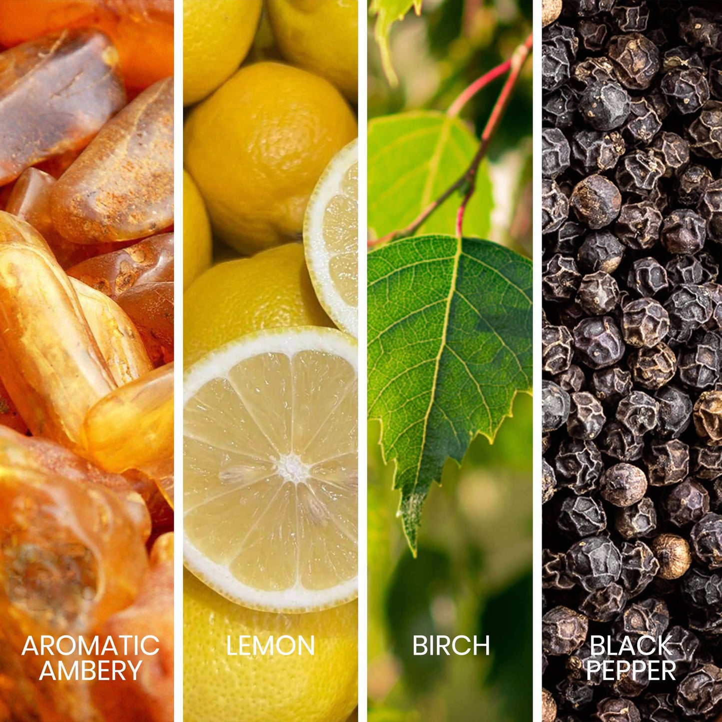 Fragrance notes of Sapil Intense Noir displayed with amber, lemon, birch, and black pepper imagery