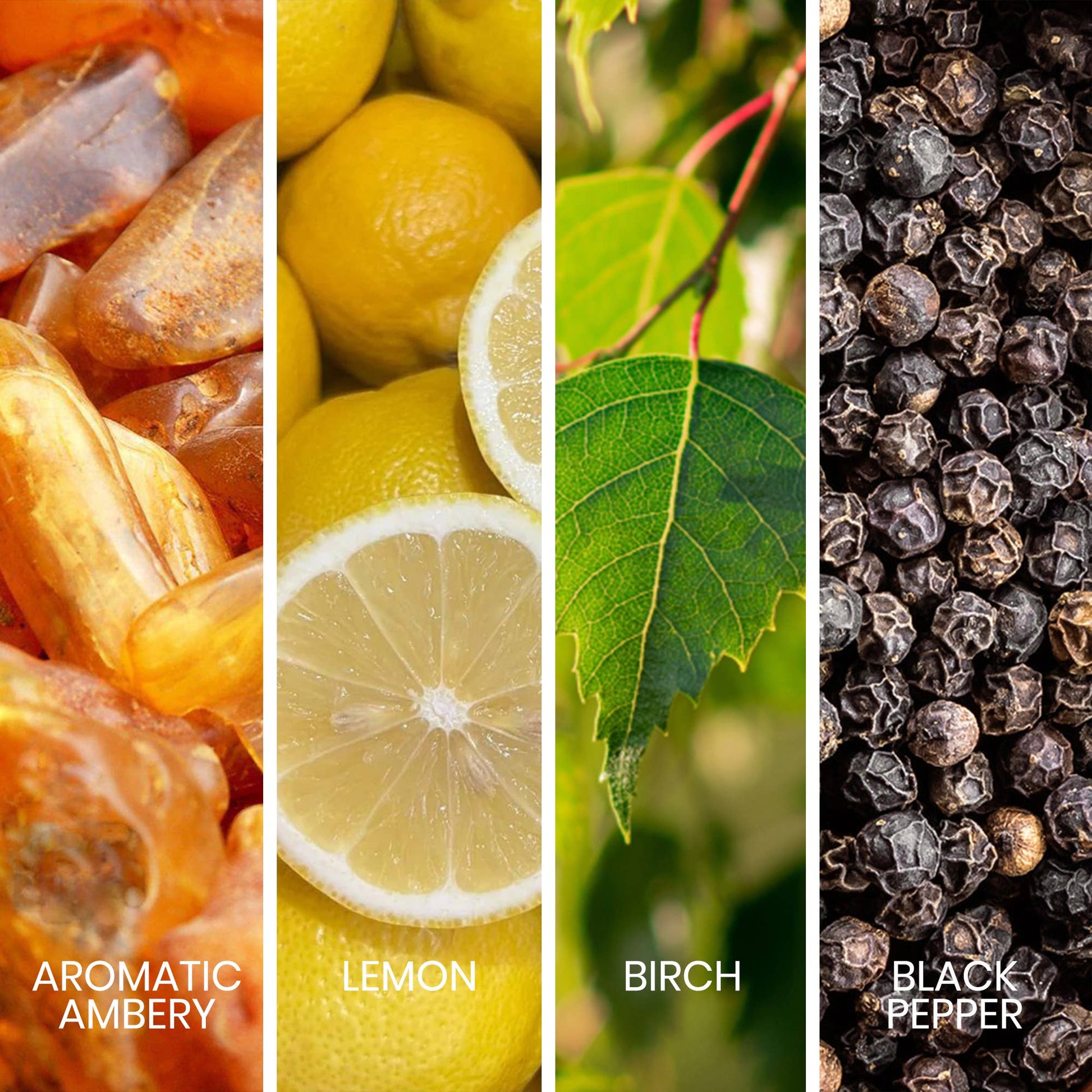 Fragrance notes of Sapil Intense Noir displayed with amber, lemon, birch, and black pepper imagery